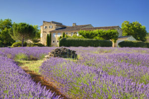 Luxury villa in Provence with pool